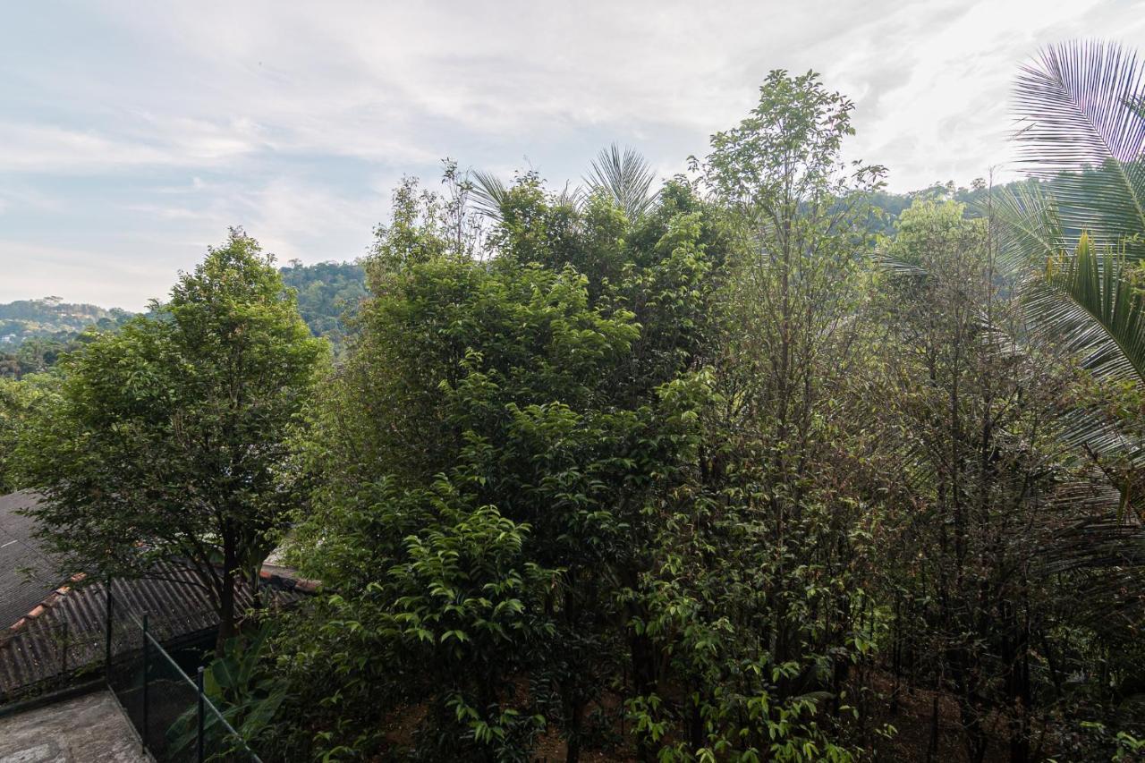 Sun Set Forest Villa Канди Екстериор снимка